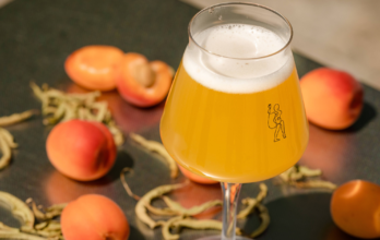 Fruitée et acidulée : le kiff de la Ninkasi Sour Abricot