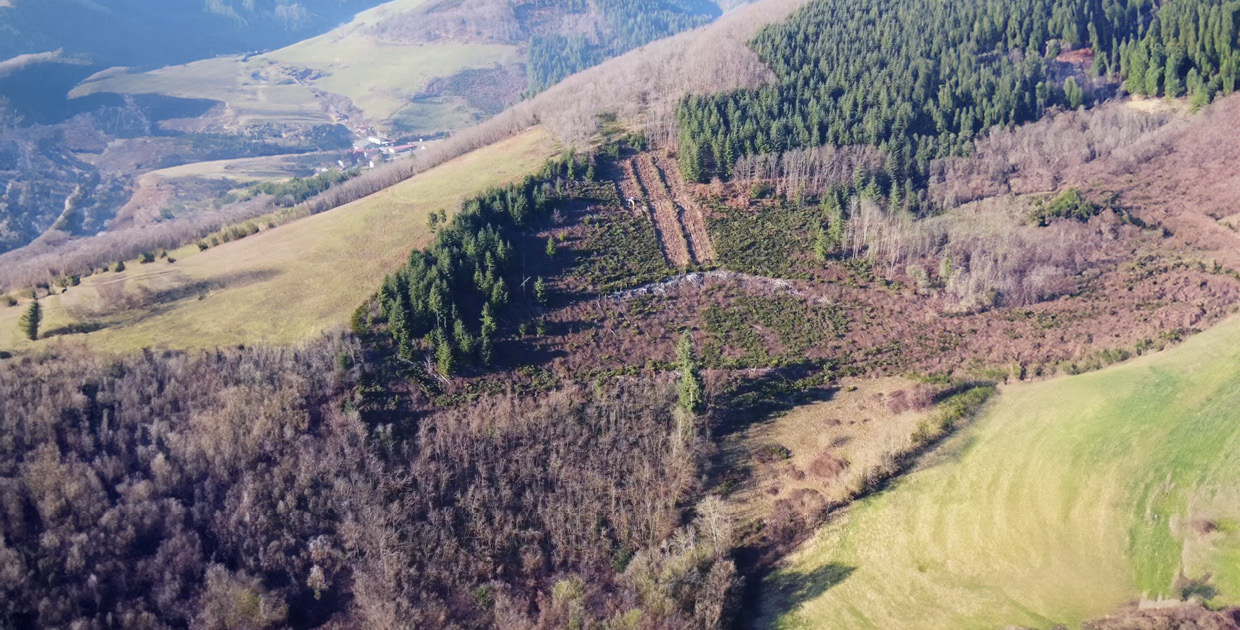 Arduina : on a replanté une forêt